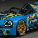 twingo cup 200 cv
